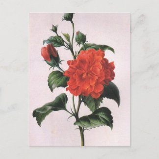 Postales rojas vintage