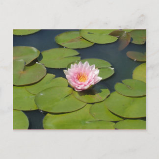 Postales rosa claro y amarillo