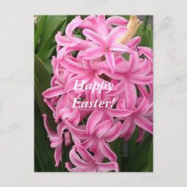 Postales rosadas felices de la flor de los