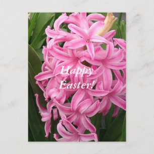 Postales rosadas felices de la flor de los