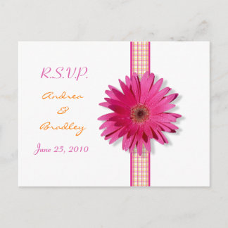 Postales RSVP de cinta de opciones rosada Gerbera