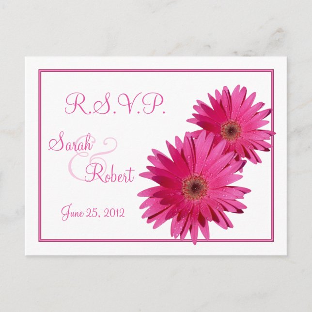 Postales RSVP de las flores rosadas de Gerbera Dai (Anverso)