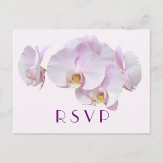 Postales RSVP para orquídeas suaves y elegantes