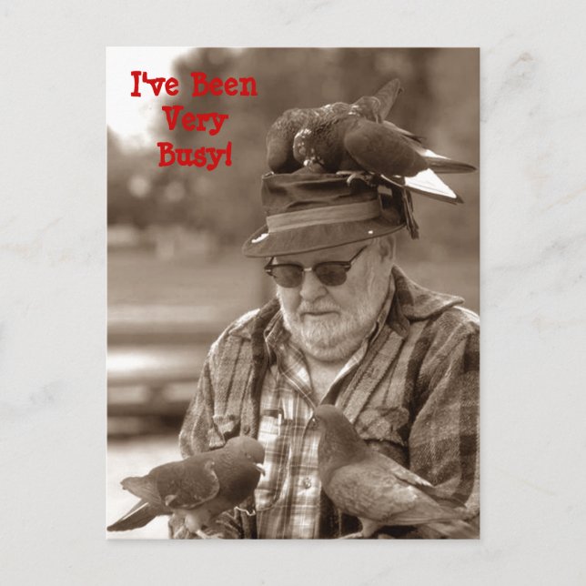 Postales Saludos divertidos palomas pájaros en el  (Anverso)