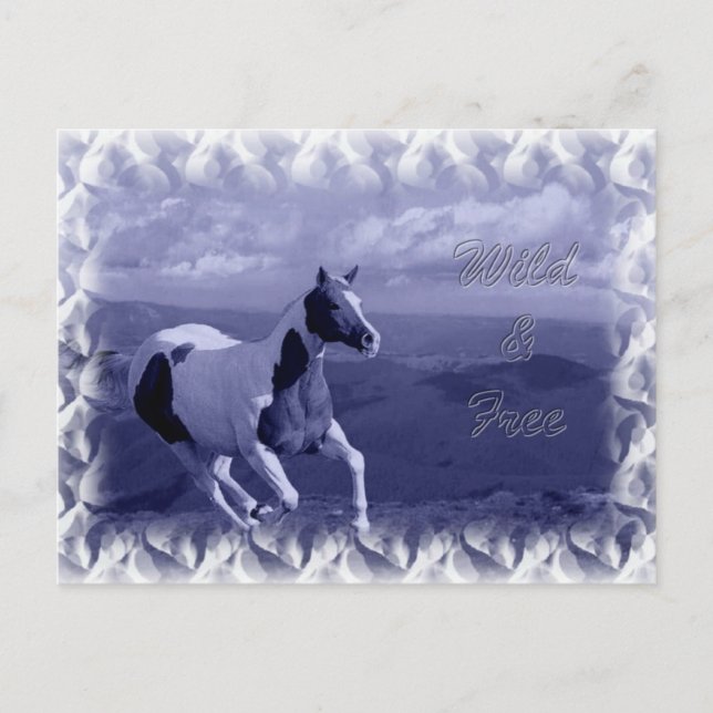 Postales salvajes y gratis (Anverso)