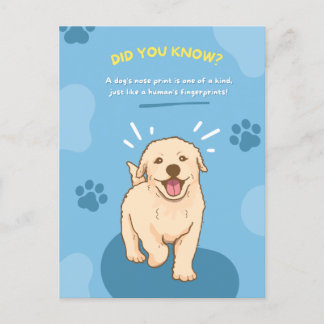Postales sobre hechos de diversión para animales