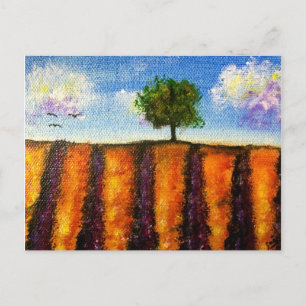 Postales sobre los campos de lavanda