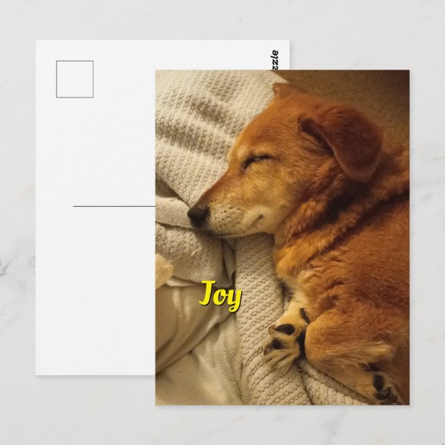 Postales sonrientes para perros (Anverso / Reverso)