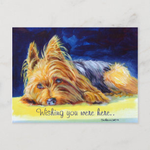 Postales Terribles de Yorkshire