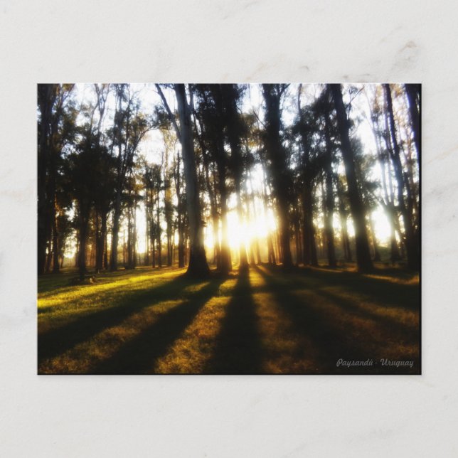 Postales Uruguay (Anverso)