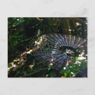 Postales web de orina de Leugábo