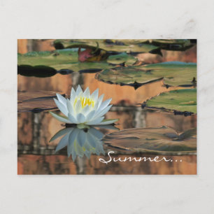 Postcarta de invitación a la fiesta de solsticio d