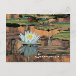 Postcarta de invitación a la fiesta de solsticio d