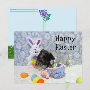 Postcross - Bandit's Easter Basket - postal