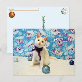 Postcross - Navidades de Audrey - postal de gato
