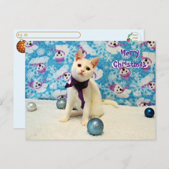 Postcross - Navidades de Audrey - postal de gato (Anverso / Reverso)