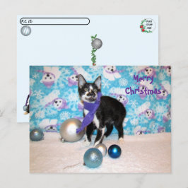 Postcross - Navidades de Cowboy - postal de gato