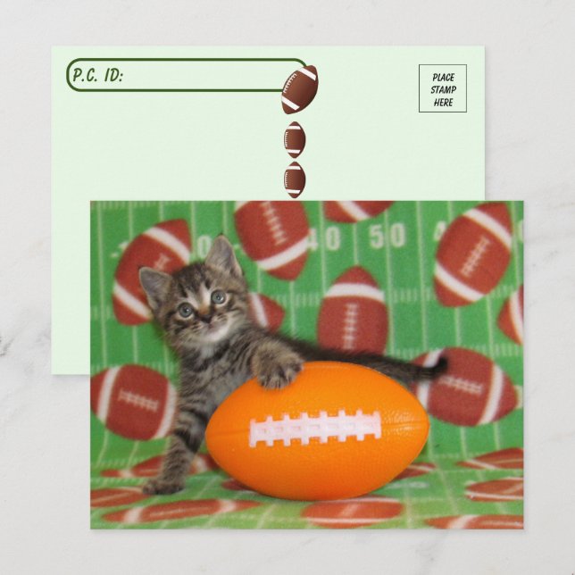 Postcross Patton juega fútbol - postal de gato (Anverso / Reverso)
