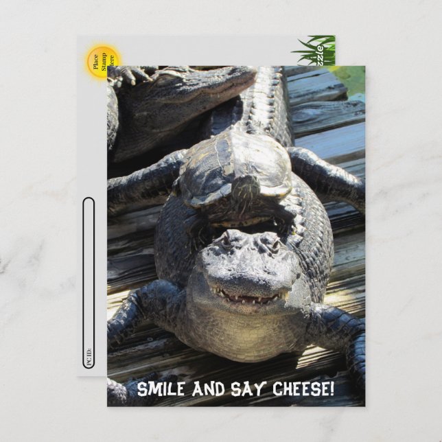 Postcross - postal turística de Florida definitiva (Anverso / Reverso)