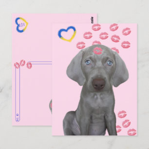 Postcross - tarjeta postal Brooklyn the Dog's Kiss