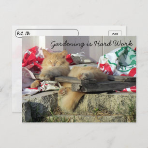 Postcross - tarjeta postal Simba the Cat's Gardeni