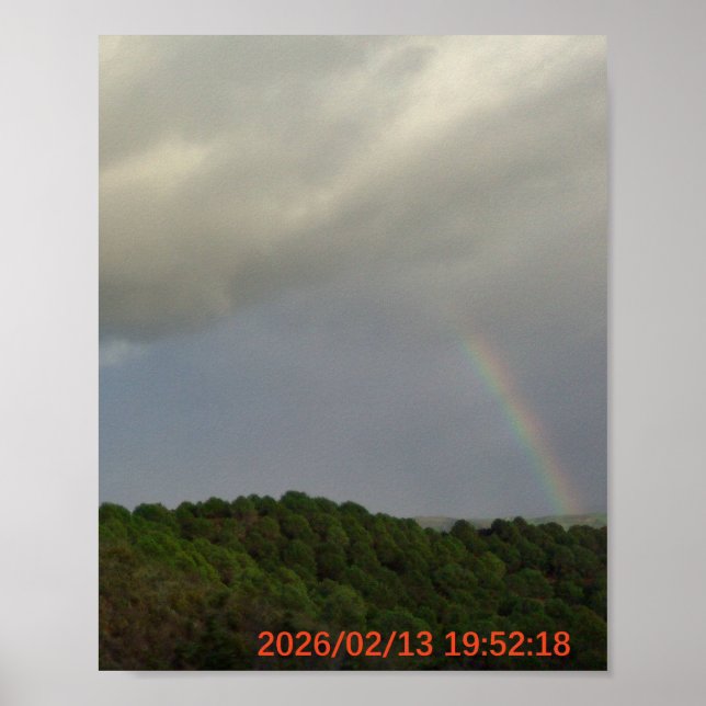 Póster (Frente)