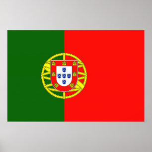PÓSTER 