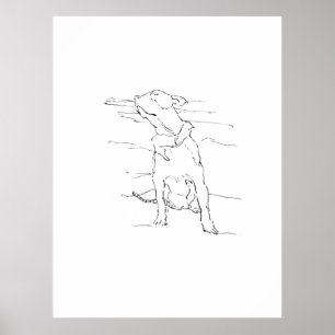 PÓSTER 