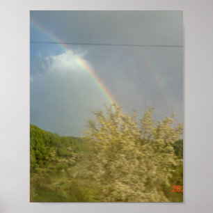 Póster