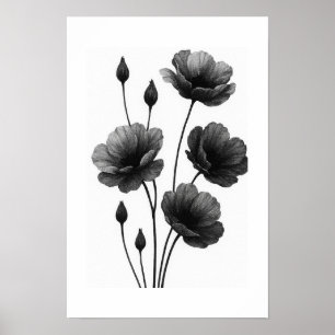 Póster