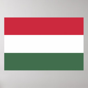 PÓSTER