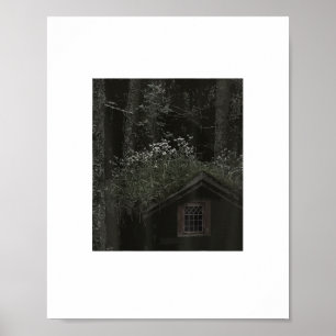 PÓSTER