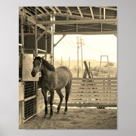 PÓSTER ケイメイ牧場　グラマーちゃん　まるで置き物