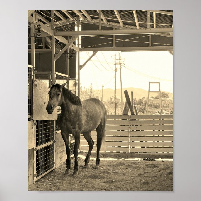 PÓSTER ケイメイ牧場　グラマーちゃん　まるで置き物 (Frente)