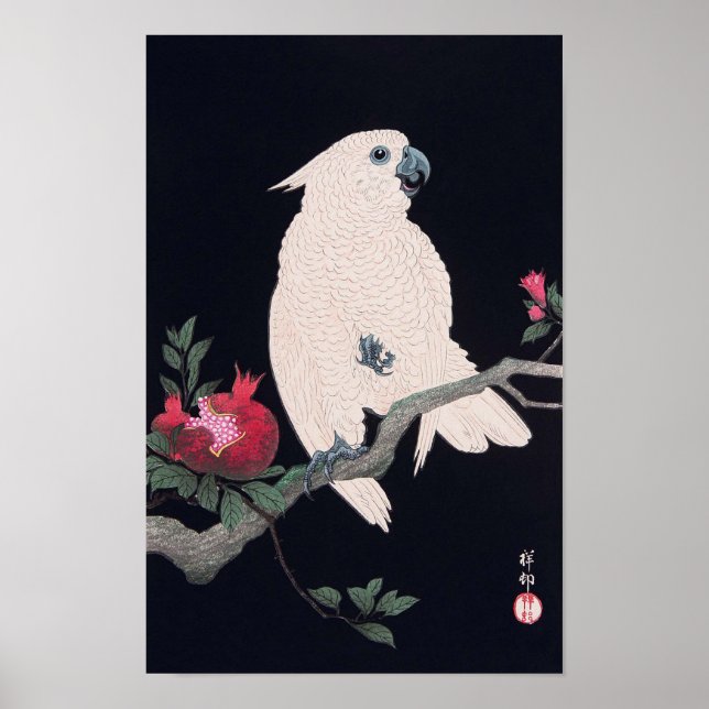 Póster ザ ロ に オ ウ, 小 原 ` Tell Cockatoo en Pomegranate, Oha (Frente)