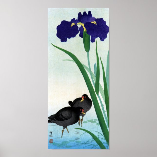 Póster ・ ナ と ア ヤ メ, 古 Moorhens e Iris, Ohara Koson (Frente)