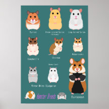 ハ ム ス タ の 種 類 snihtsni