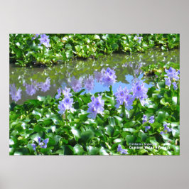 PÓSTER ホ テ ア オ イ