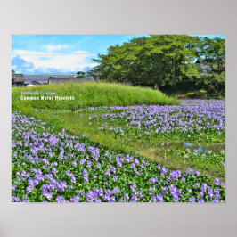 PÓSTER ホ テ ア オ イ