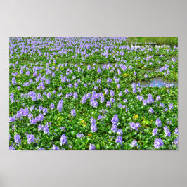 PÓSTER ホ テ ア オ イ