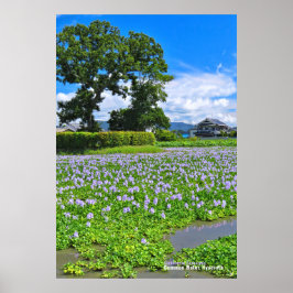 PÓSTER ホ テ ア オ イ