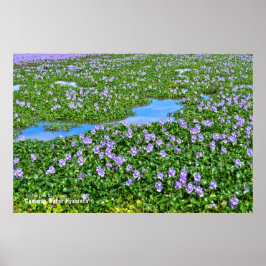 PÓSTER ホ テ ア オ イ