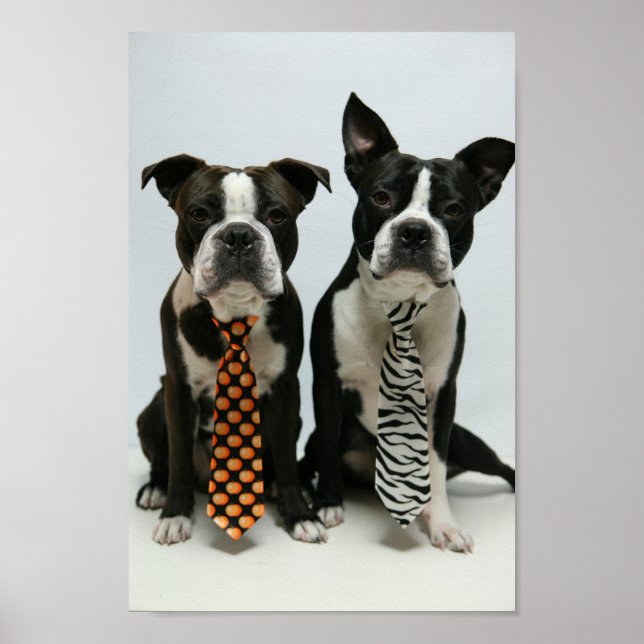 PÓSTER ポ ス タ (Frente)