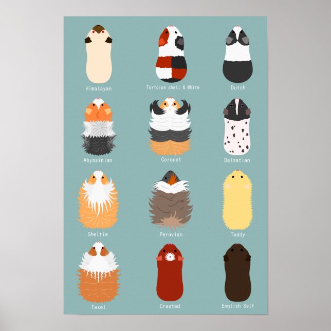 PÓSTER モ ル モ・の 覧 種 類 一 (Frente)