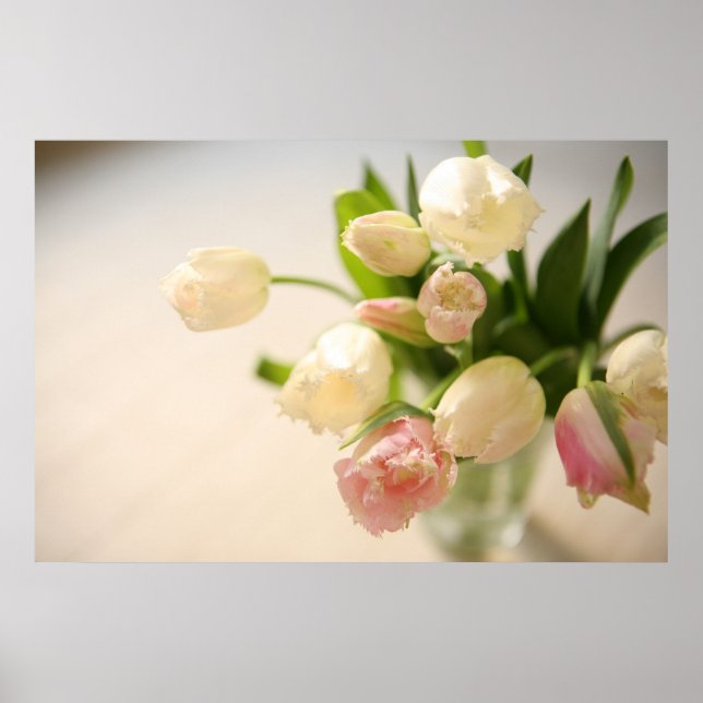 PÓSTER ュ リ プ (Frente)