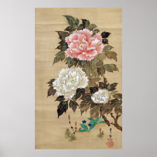 Póster 丹 牡, 其 一 Peony, Kiitsu, Japón Art