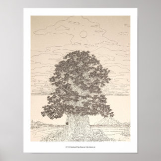 PÓSTER 海 辺 の 大 木