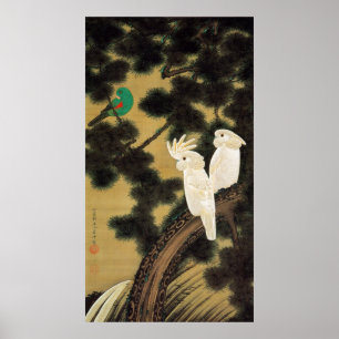 Póster 老 松 鸚 鵡 図, 若 Pine-tree & Parrot, Jakuchū