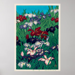 Póster 菖 蒲, Iris, Hasui Kawase, Woodcut