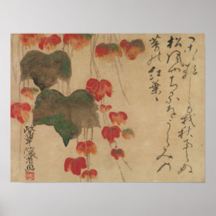 Póster 蔦 秋, 乾 山 otoño Ivy, Kenzan, Japón Art